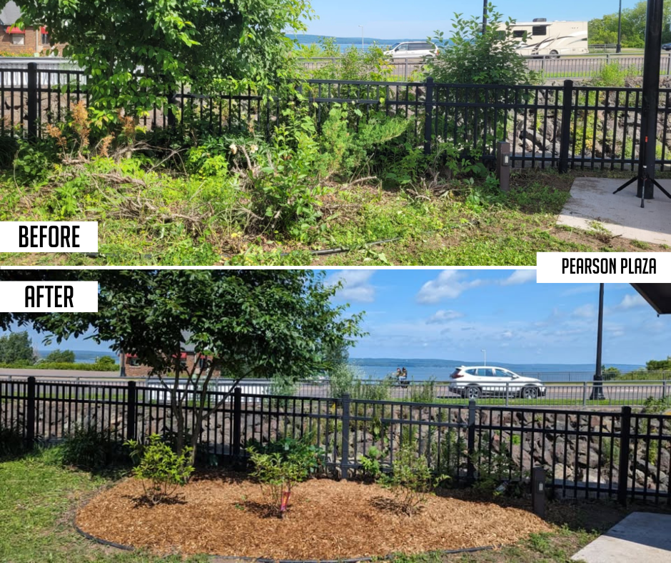 Pearson Plaza before and after photos of a completed garden project.