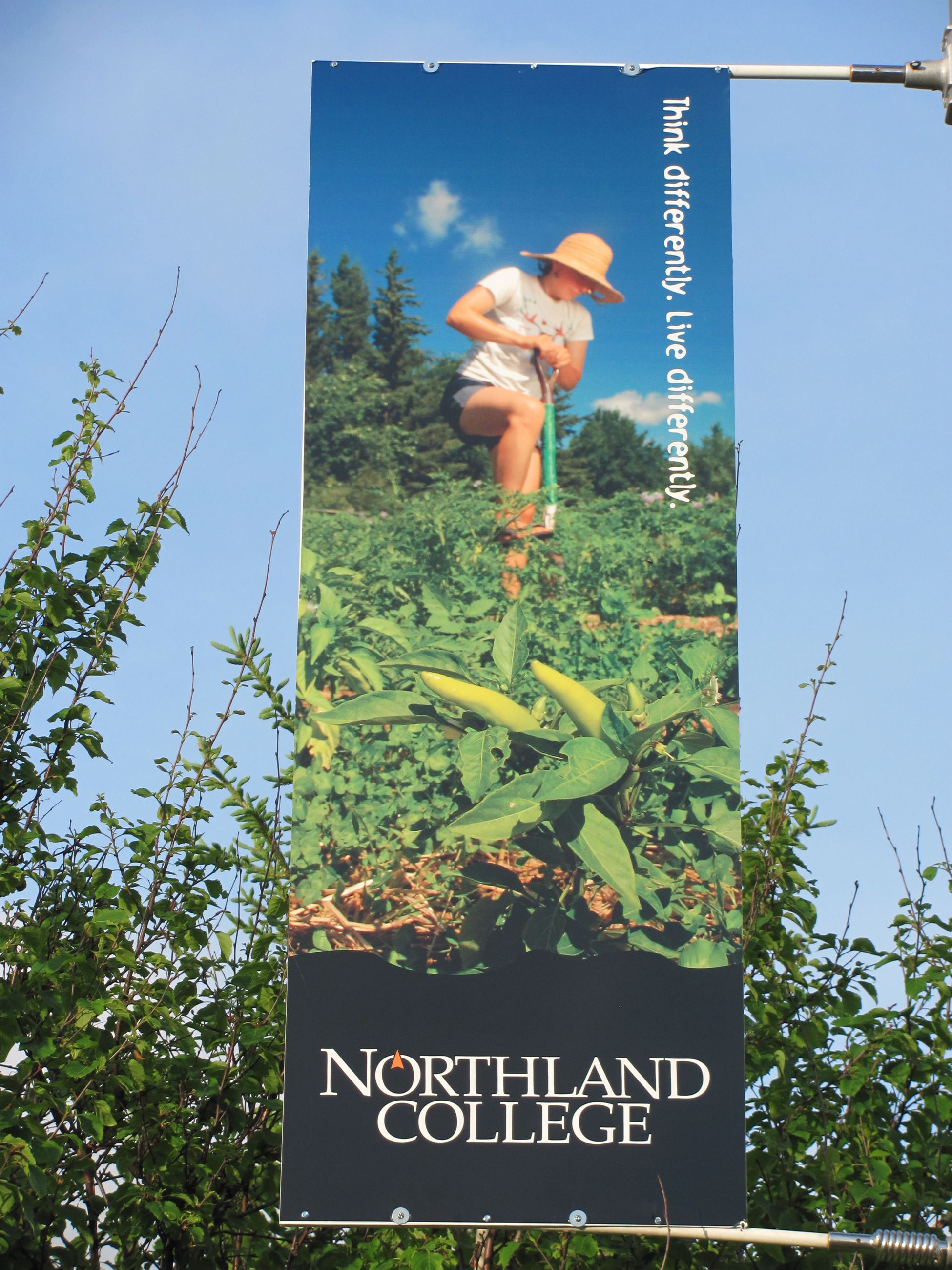 Northland Banner Closeup 1